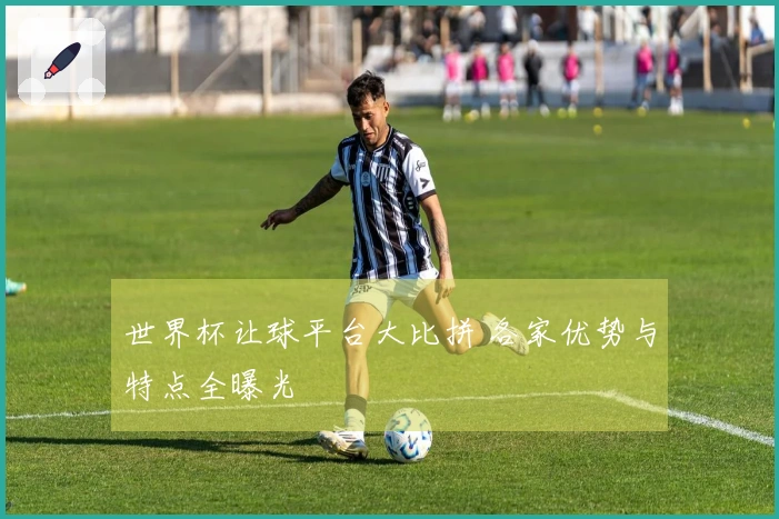 世界杯让球平台大比拼 各家优势与特点全曝光