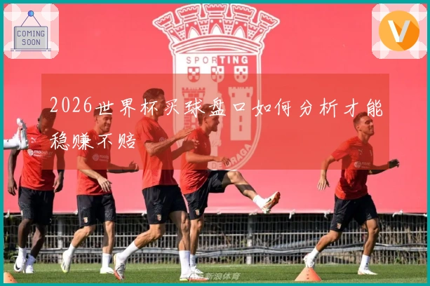 2026世界杯买球盘口如何分析才能稳赚不赔