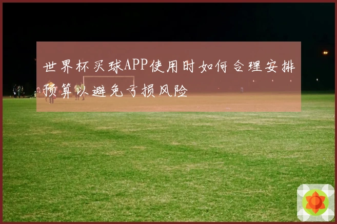 世界杯买球APP使用时如何合理安排预算以避免亏损风险