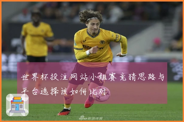 世界杯投注网站小组赛竞猜思路与平台选择该如何比对