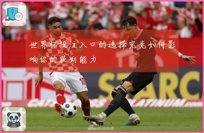 世界杯投注入口的选择究竟如何影响你的获利能力
