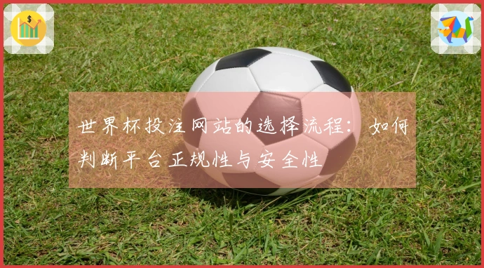 世界杯投注网站的选择流程：如何判断平台正规性与安全性