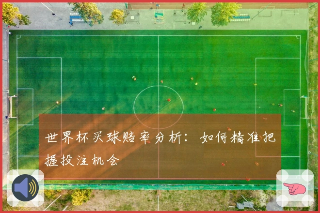 世界杯买球赔率分析：如何精准把握投注机会