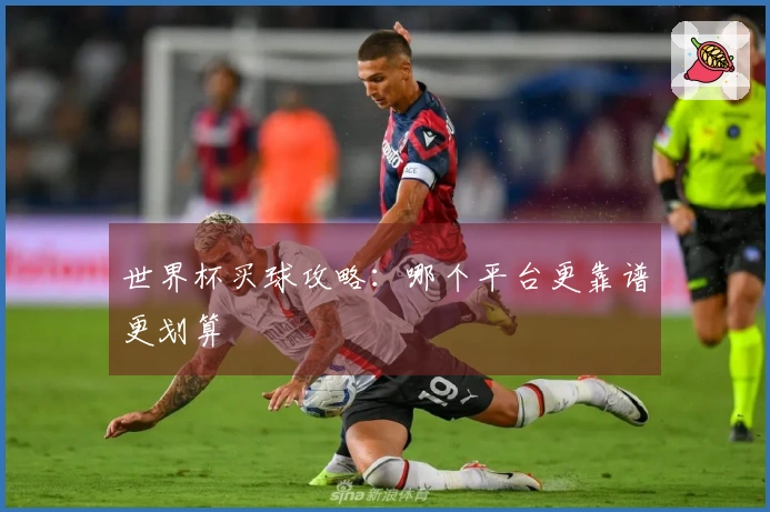 世界杯买球攻略：哪个平台更靠谱更划算