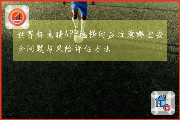 世界杯竞猜APP选择时应注意哪些安全问题与风险评估方法
