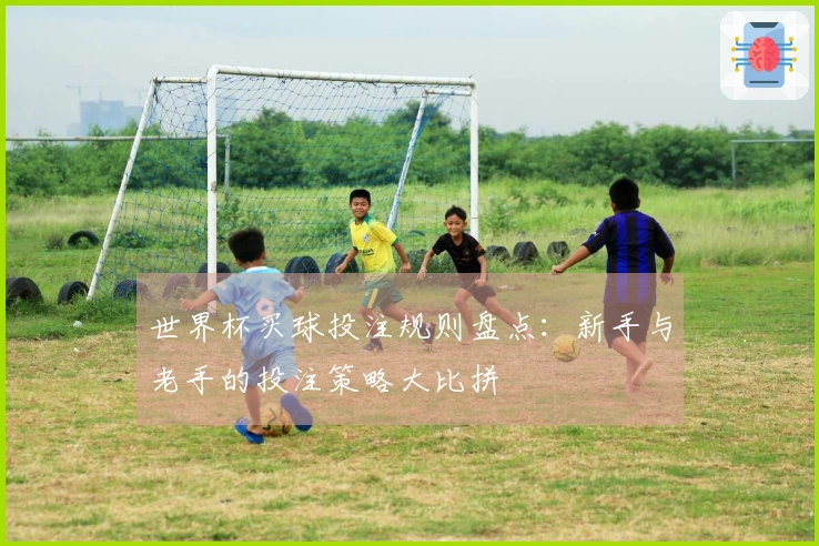 世界杯买球投注规则盘点：新手与老手的投注策略大比拼