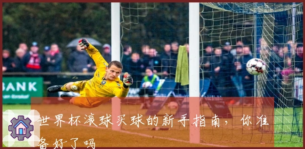 世界杯滚球买球的新手指南，你准备好了吗