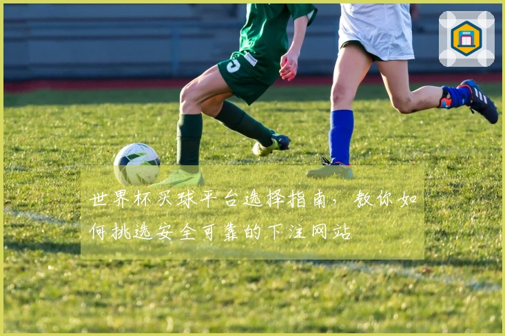 世界杯买球平台选择指南,教你如何挑选安全可靠的下注网站