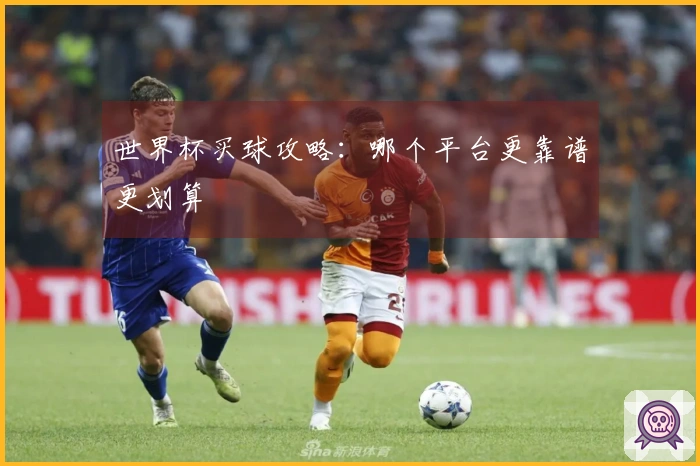 世界杯买球攻略：哪个平台更靠谱更划算