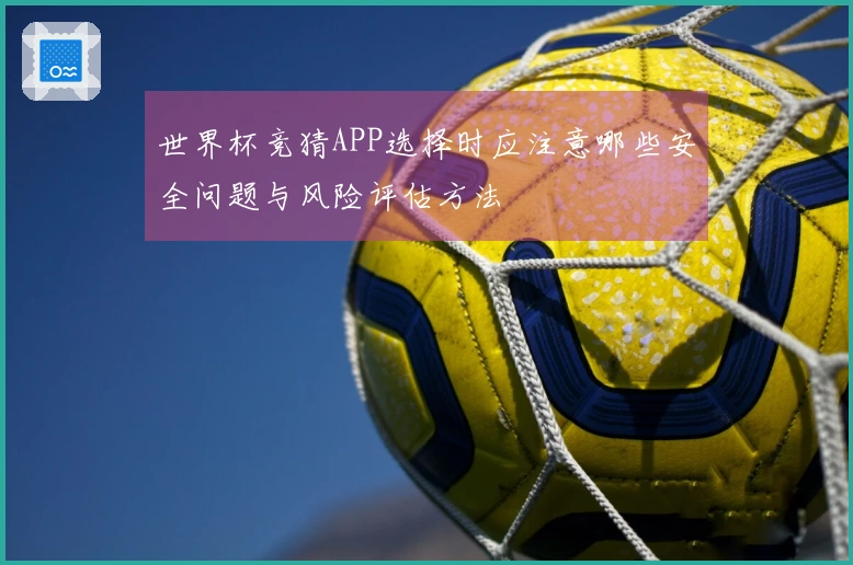 世界杯竞猜APP选择时应注意哪些安全问题与风险评估方法