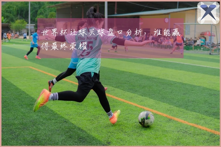 世界杯让球买球盘口分析，谁能赢得最终荣耀
