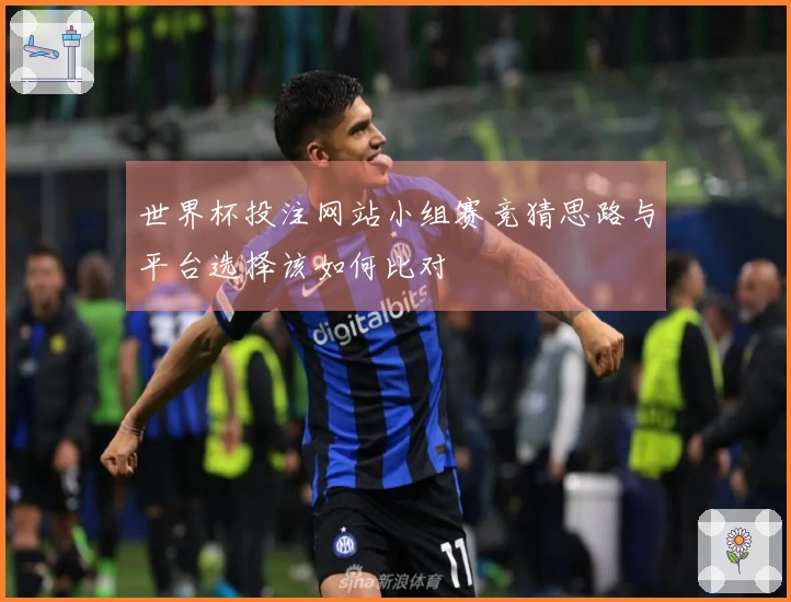 世界杯投注网站小组赛竞猜思路与平台选择该如何比对