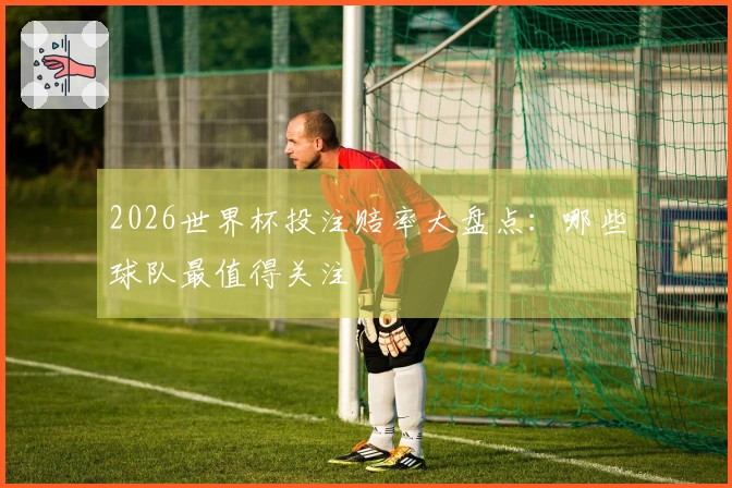 2026世界杯投注赔率大盘点：哪些球队最值得关注