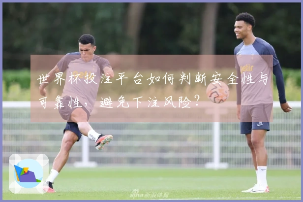 世界杯投注平台如何判断安全性与可靠性，避免下注风险？
