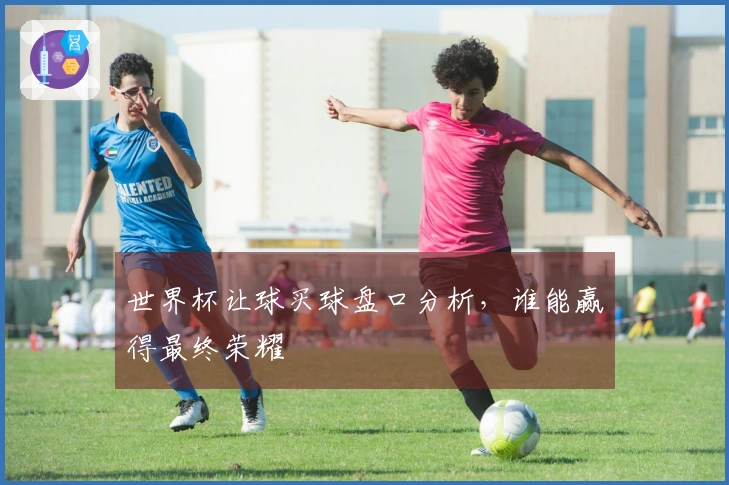 世界杯让球买球盘口分析，谁能赢得最终荣耀