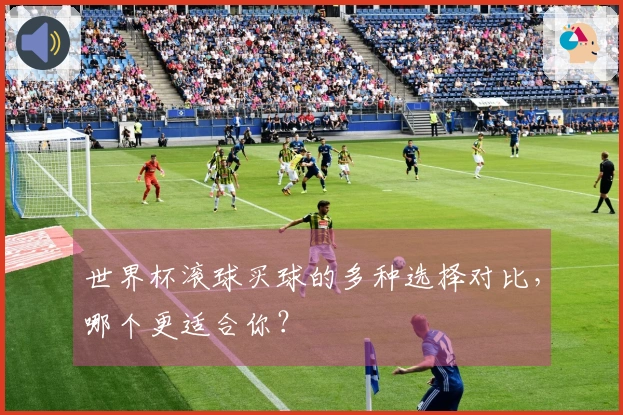 世界杯滚球买球的多种选择对比,哪个更适合你?