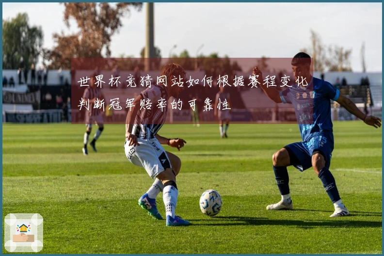 世界杯竞猜网站如何根据赛程变化判断冠军赔率的可靠性