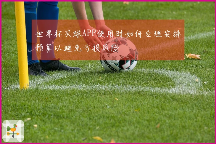 世界杯买球APP使用时如何合理安排预算以避免亏损风险