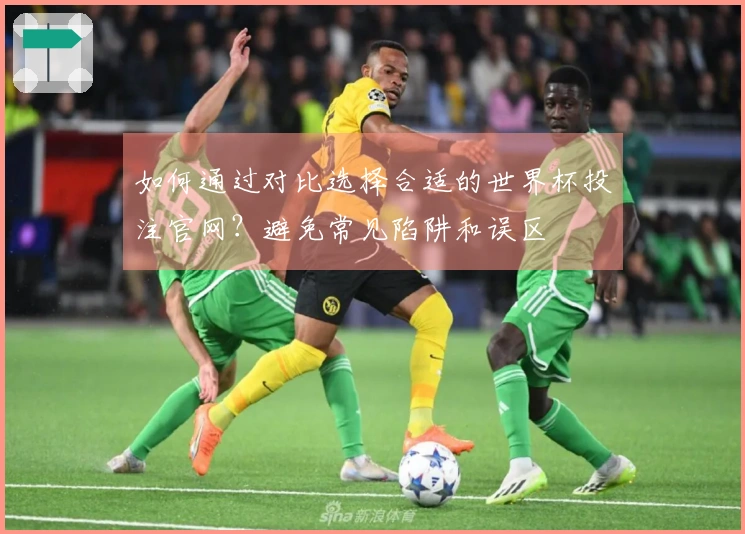 如何通过对比选择合适的世界杯投注官网？避免常见陷阱和误区