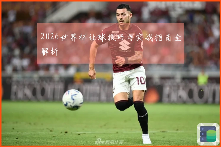 2026世界杯让球技巧与实战指南全解析