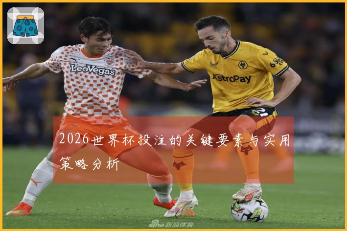 2026世界杯投注的关键要素与实用策略分析