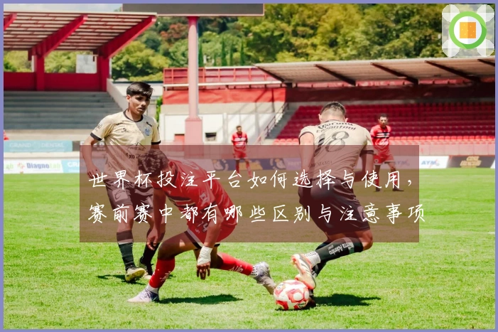 世界杯投注平台如何选择与使用，赛前赛中都有哪些区别与注意事项？