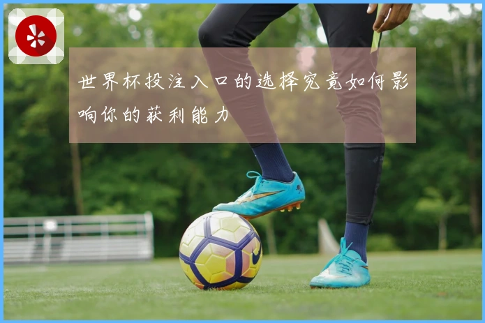世界杯投注入口的选择究竟如何影响你的获利能力