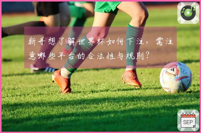新手想了解世界杯如何下注，需注意哪些平台的合法性与规则？