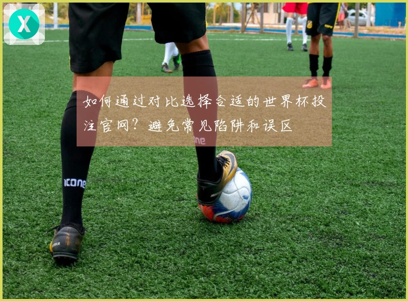 如何通过对比选择合适的世界杯投注官网？避免常见陷阱和误区