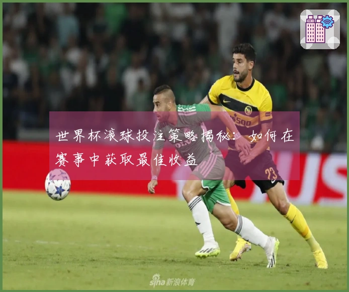 世界杯滚球投注策略揭秘：如何在赛事中获取最佳收益