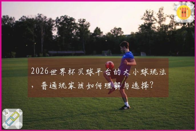 2026世界杯买球平台的大小球玩法，普通玩家该如何理解与选择？