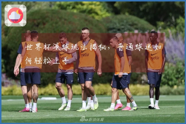世界杯滚球玩法揭秘,普通球迷如何轻松上手