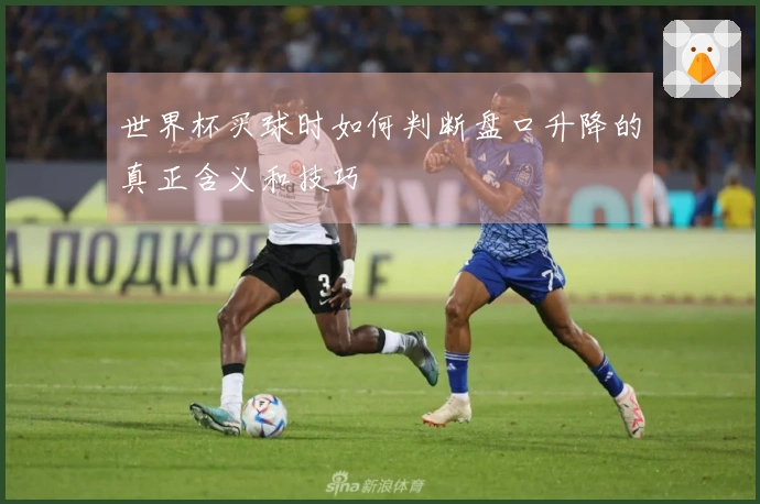 世界杯买球时如何判断盘口升降的真正含义和技巧
